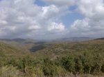 Imagen014.jpg