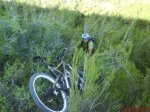 DSC00076.jpg