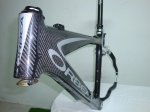 ORBEA 7.JPG