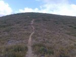 Imagen026.jpg