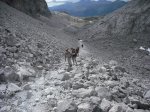DSCF0042 [].JPG