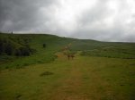 DSCF0119 [].JPG