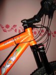 PICT0809.jpg