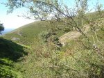 DSC00720.jpg