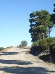 DSC00723.jpg