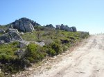DSC00737.jpg