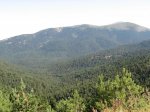 IMG_2472.jpg