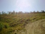 28072009_003.jpg
