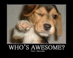 whos-awesome_mediano.jpg