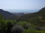 Sin tÃ­tulo - 60.jpg