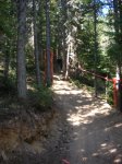 alp 2009 018.jpg