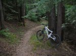 alp 2009 032.jpg