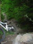 alp 2009 034.jpg