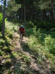 alp 2009 041.jpg