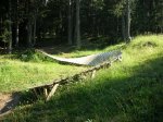 alp 2009 045.jpg