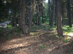 alp 2009 046.jpg