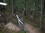 alp 2009 031.jpg