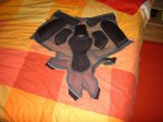 DSC01223.jpg