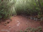 DSC00009.jpg