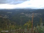 DSC00015.jpg