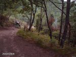 DSC00019.jpg