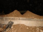 DSC09787.jpg