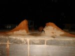 DSC09789.jpg