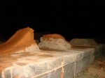 DSC09790.jpg
