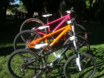 dsc01756e.jpg