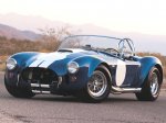 accobra.jpg