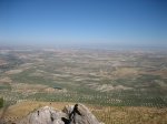 IMG_0330 (Medium).JPG