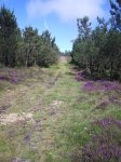 090730_Foto11.jpg