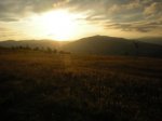 DSCN1245.jpg