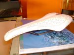 DSC01240.jpg