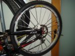 DSC00407.JPG