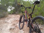 Foto0098MTB.jpg