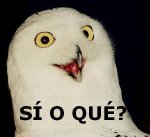 lechusioque.jpg