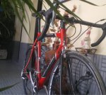 Imagen 005.jpg