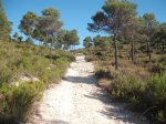 DSCF4798.JPG