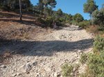 DSCF4854.JPG