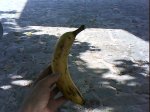 DSC00078.jpg