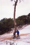 img012.jpg