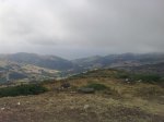 foto4.jpg