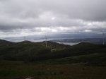 090801_Foto5.jpg