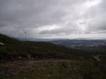 090801_Foto7.jpg