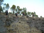 DSCN5281.jpg