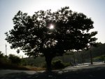 DSCN5304.jpg