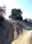 DSC00082.jpg