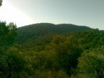 01082009(008).jpg