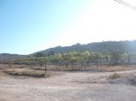 DSCF4889.JPG